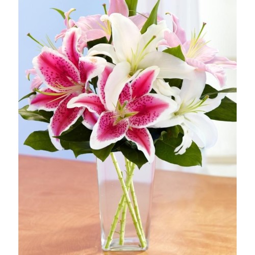 ORIENTAL LILIES (Deluxe)